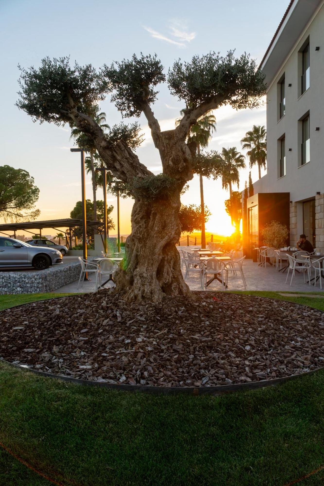 Hotel Rural Finca La Desa Miajadas Esterno foto